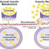 How insulin resistance prevents you from losing weight