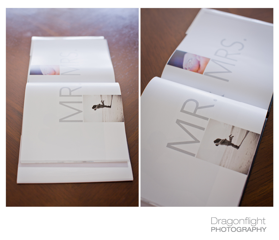 Dragonflight Photography Vancouver, Langley, Victoria and Destination