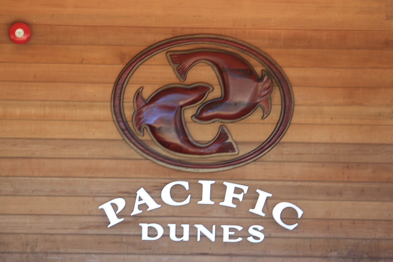 The Traveling Golfer's Blog Bandon Dunes Golf Resort Pacific Dunes