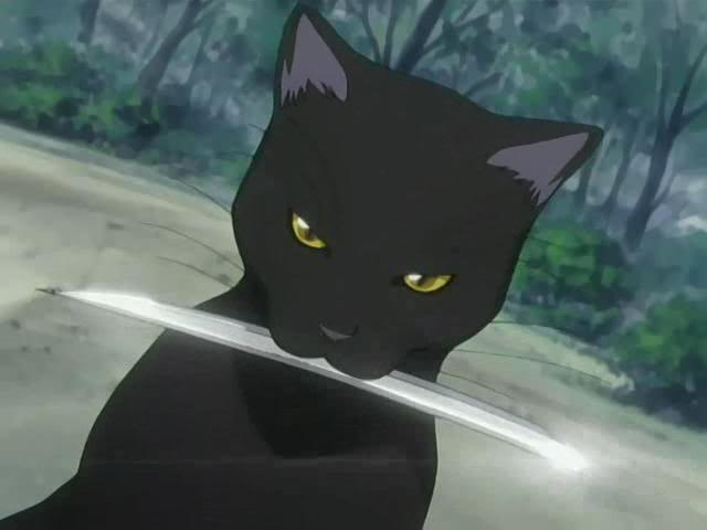 OFF-Topic: “Mudando de pau pra cavaco..." - Yusuke Urameshi - Página 4 Yoruichi_Shihouin_Cat