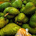 For The Love Of Soursop - Delicious All Natural Cancer Killer?? 