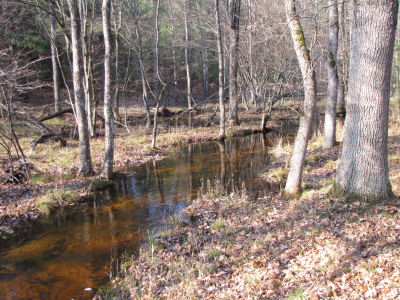 Jenks Creek