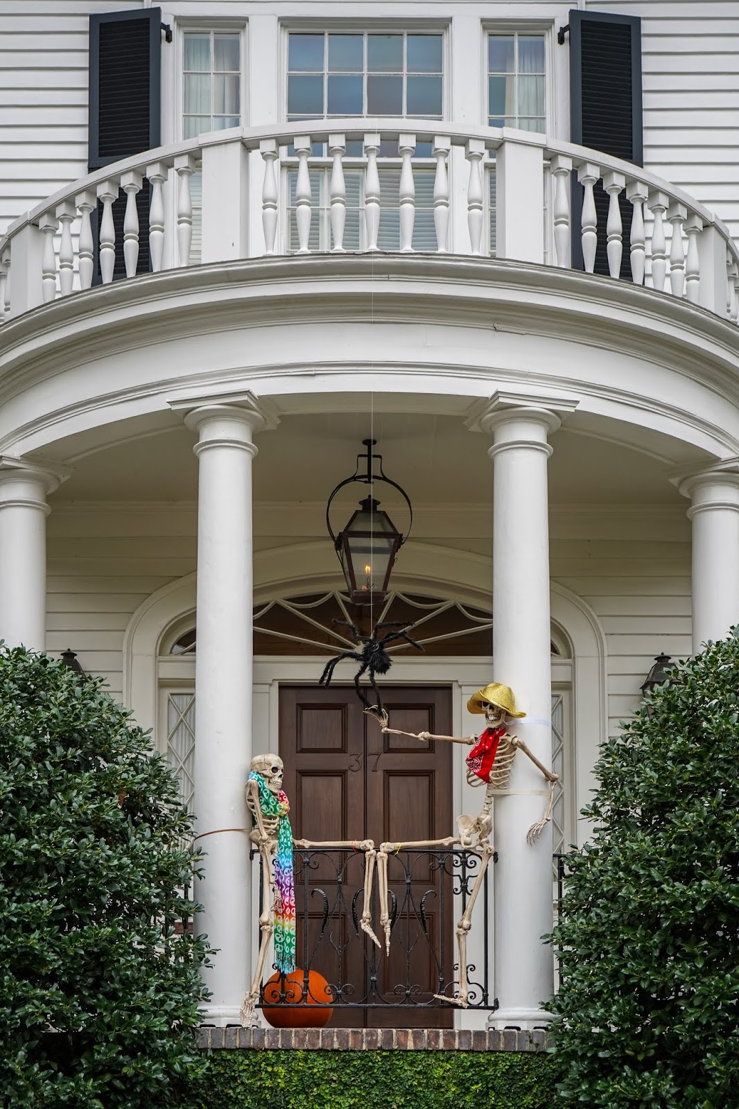 Pin by Tami on Halloween  Charleston homes, Charleston, Explore