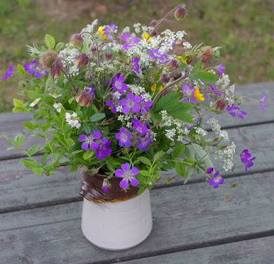 Savustettua kassleria kamadosta