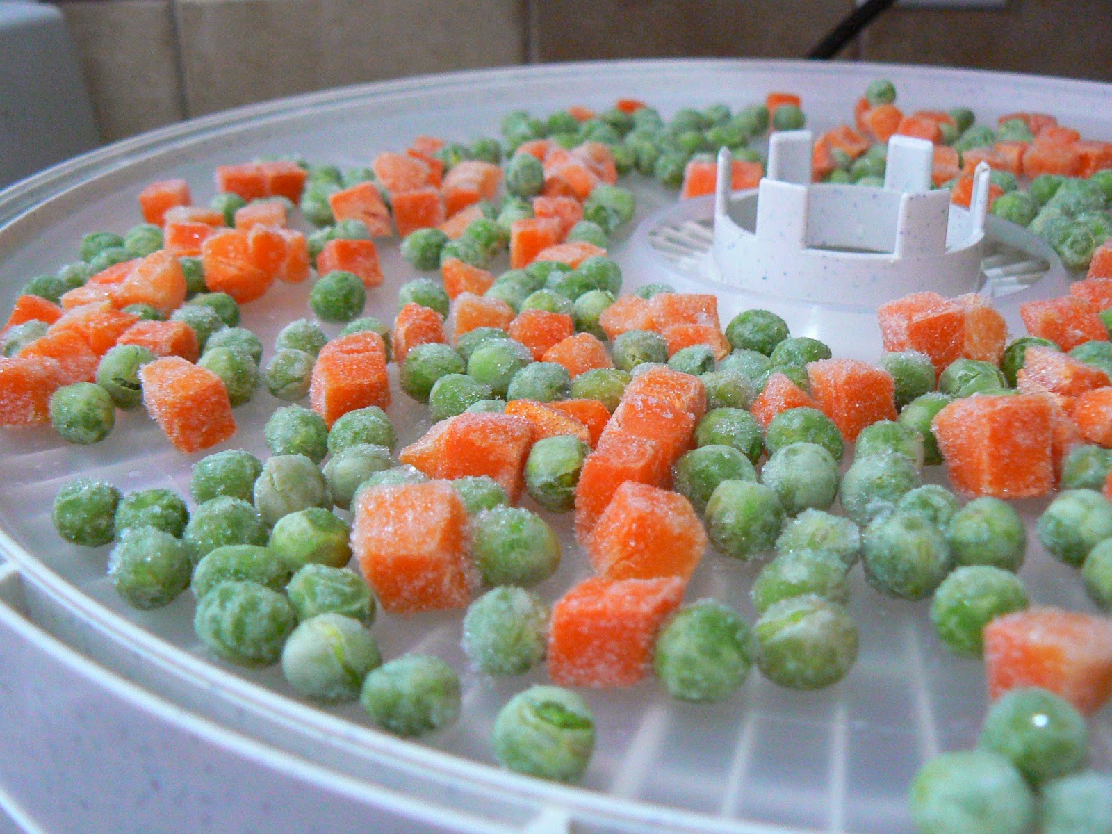 The Art of SelfReliance Dehydrating Frozen Vegetables