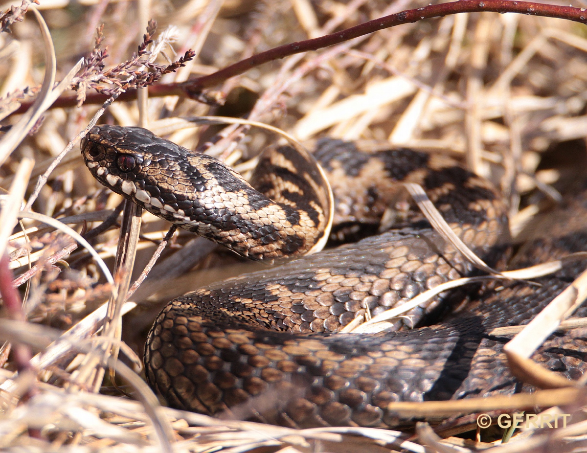 Even iets moois.... Even iets moois