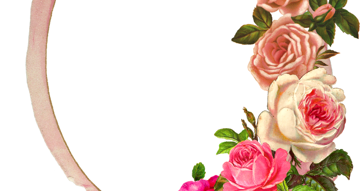 The Graphics Monarch Free Pink Rose Digital Flower Frame Download