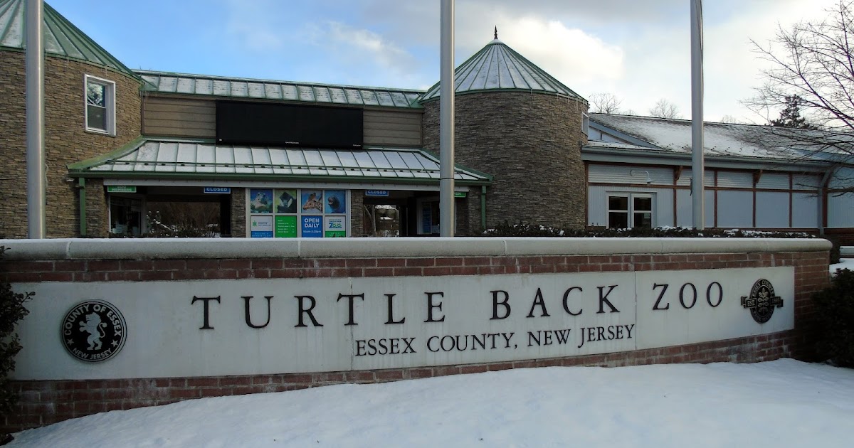 Essex County Place Turtle Back Zoo Café Plans to Serve Alcoholic Beverages