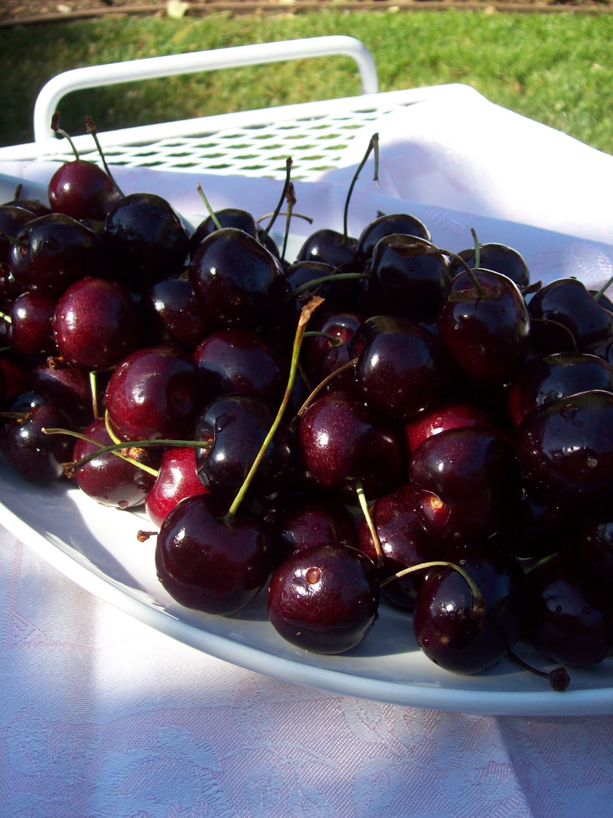 Napa Farmhouse 1885™ a cherry balsamic vinegar recipe for summerfest?