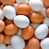 ΕΦΕΤ:Ενημέρωση των καταναλωτών σχετικά με την παρουσία της δραστικής ουσίας fipronil σε αυγά και προϊόντα τους στην Ελλάδα