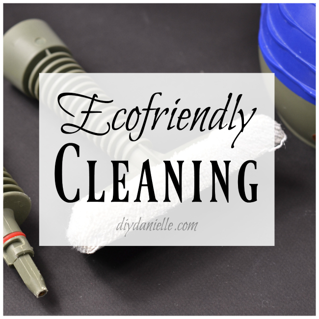 Ecofriendly cleaning tips: Using steam, DIY cleaners, and more. Cleaning with Green Products