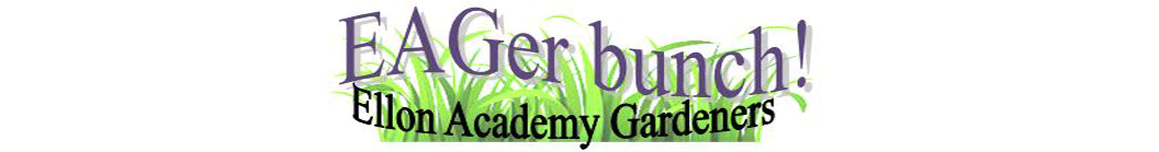 EAGer Bunch and Memorial Garden News