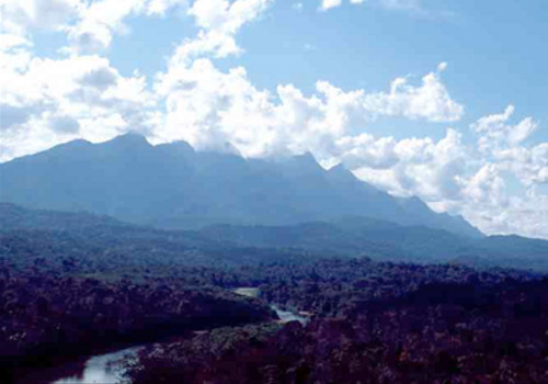 Cordillera Azul