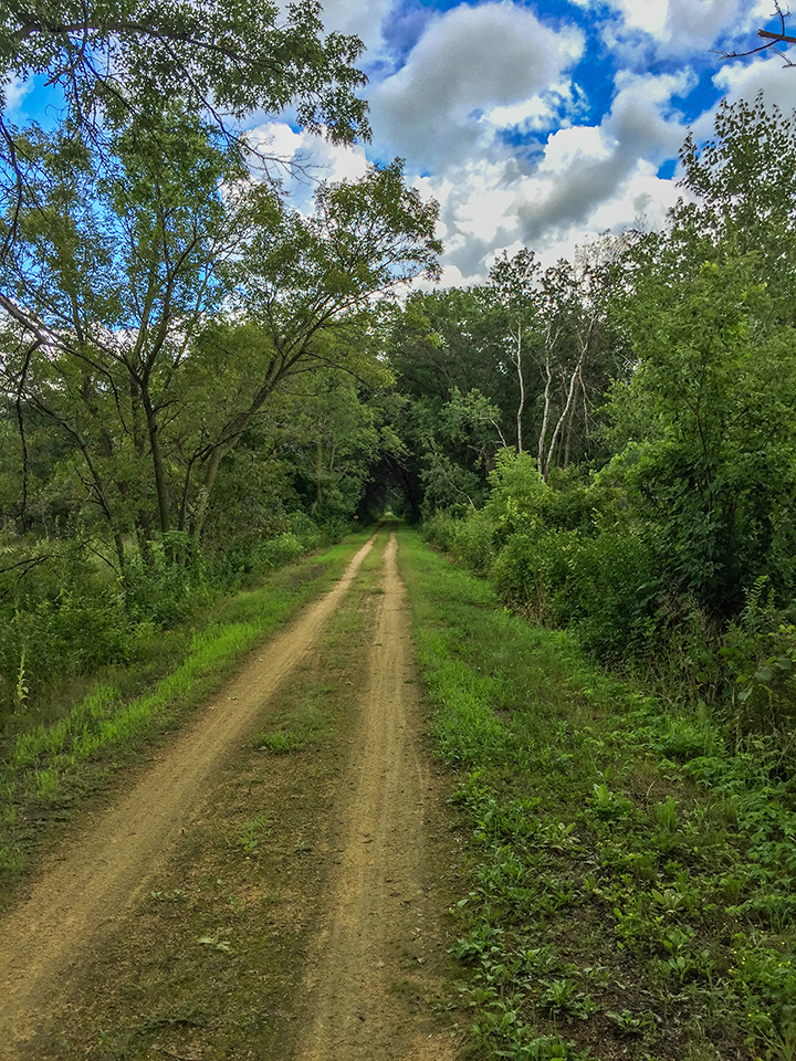 The Sugar River State Trail and Ice Age Trail Albany Segment