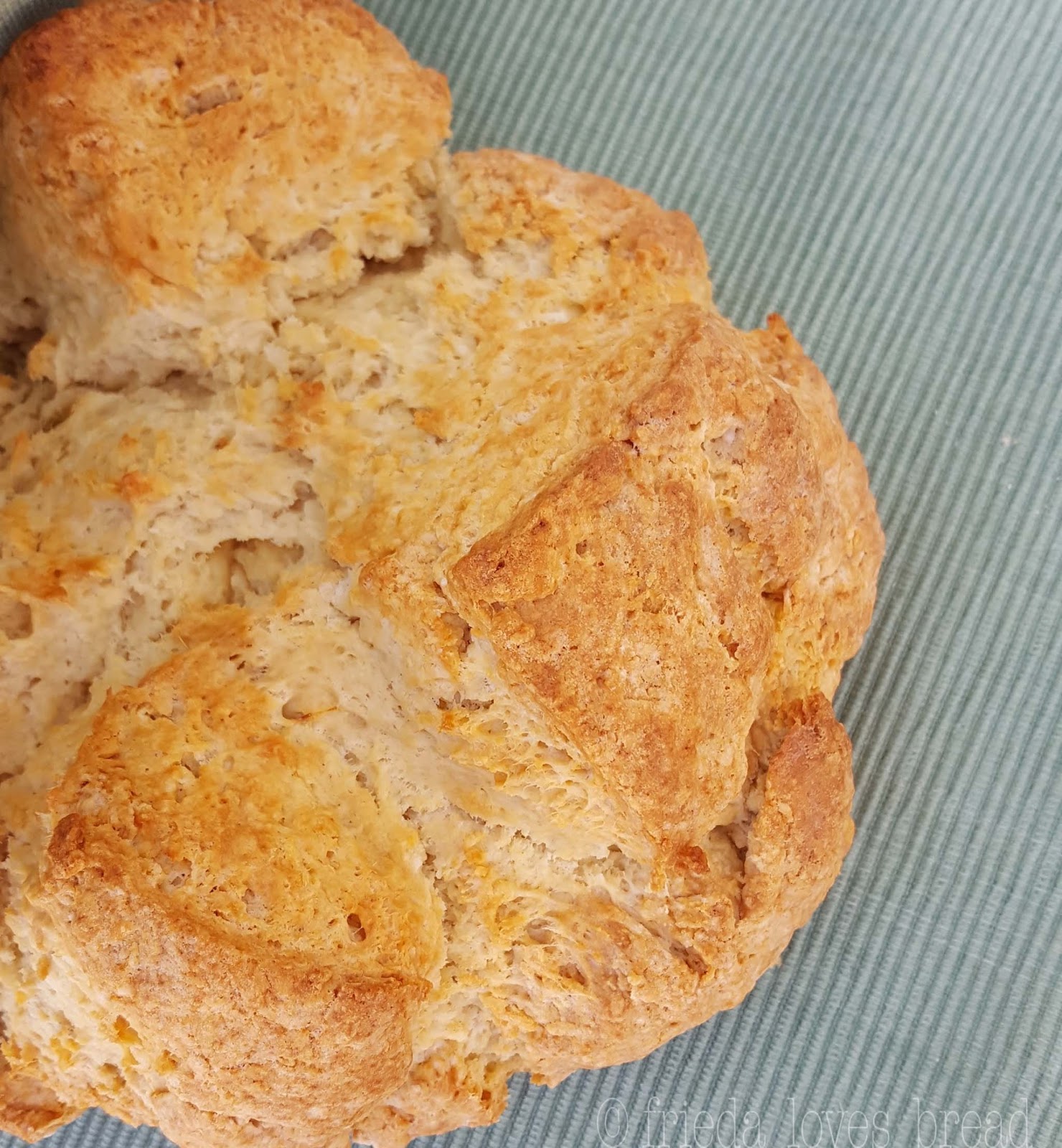 Frieda Loves Bread Easy Crusty Irish Soda Bread!