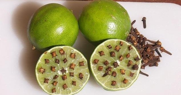 Ampuh Mengusir Nyamuk Dengan Jeruk Nipis Begini Caranya Artikel Menarik