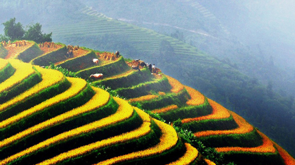 Du lịch Hà Giang qua những tấm hình đầy mê hoặc du-lich-ha-giang-qua-nhung-tam-hinh-day-me-hoac
