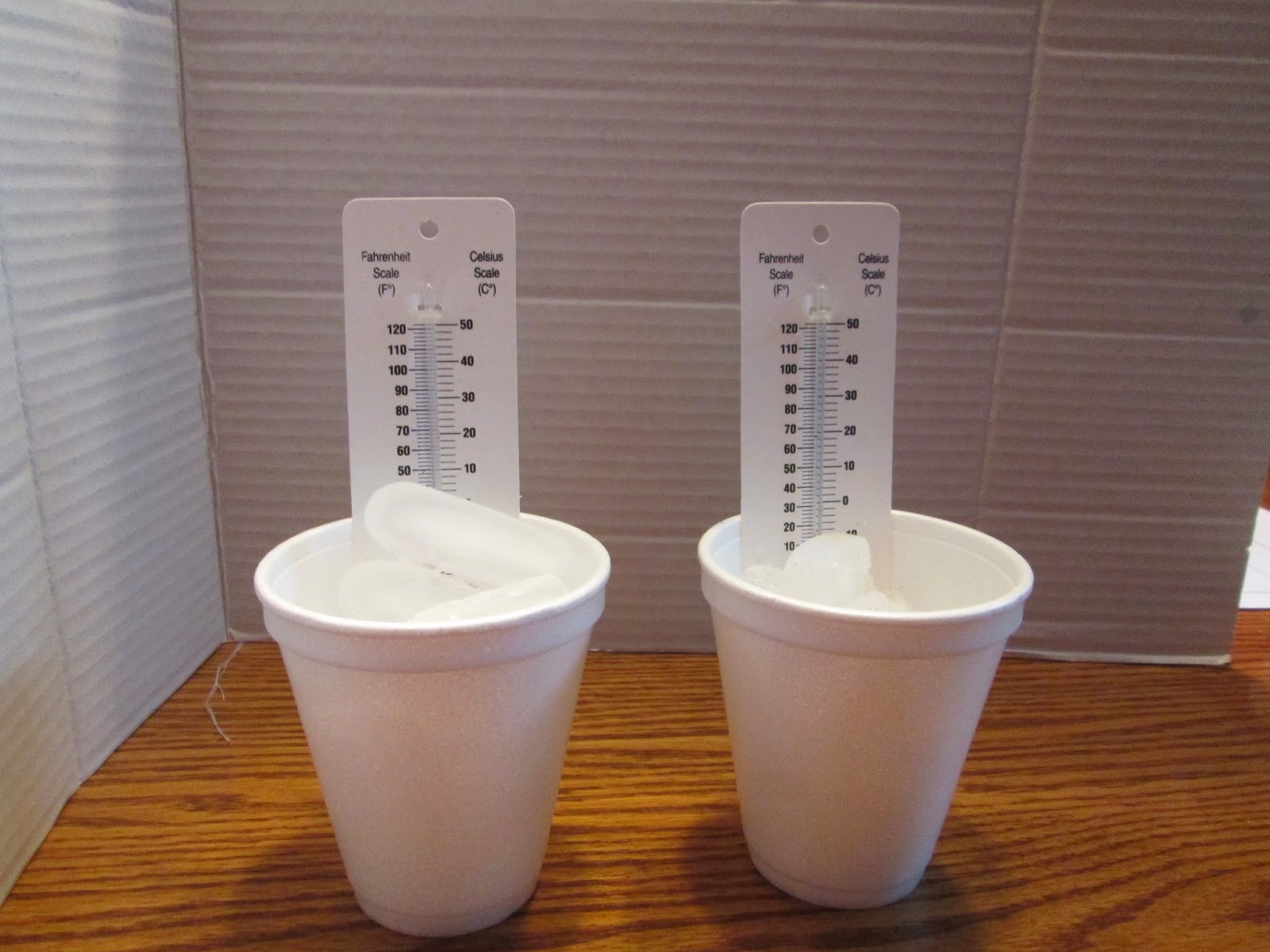 Science: It's All Elementary: Exploring the Effects of Salt on Ice with