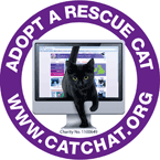 Adopt a Rescue Cat