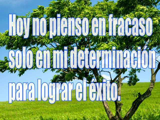Hoy no pienso en fracaso solo en mi determinación para lograr el éxito -Las mejores frases de motivación - Solo Nuevas Hoy no pienso en fracaso solo en mi determinación para lograr el éxito -Las mejores frases de motivación - Solo Nuevas