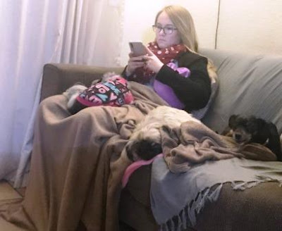 Girl with 3 dogs on couch