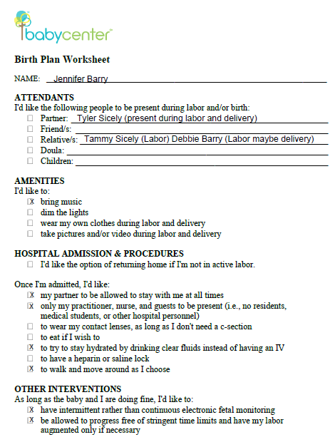 Worksheets Birth Plan Worksheet bp1 png birth plan template 20 download free documents in pdf word