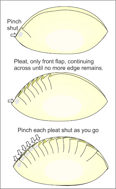 How to, pleating, wonton wrappers, potstickers