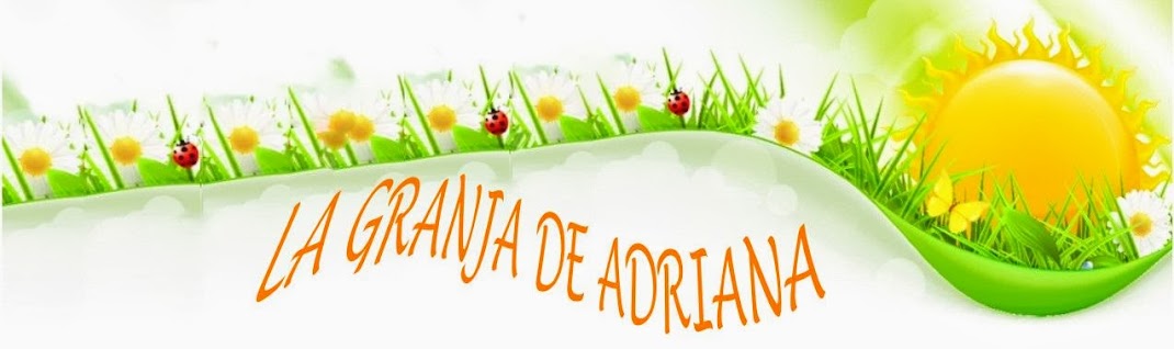                       LA GRANJA DE ADRIANA