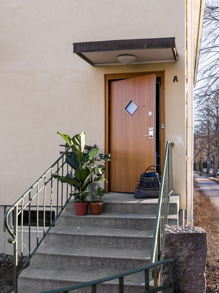 The Contemporary Home Of A Majestic Pre-War Rain Tree