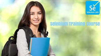selenium automation training 