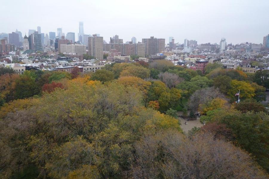 EV Grieve 3 views of Tompkins Square Park from a 5,900 apartment in