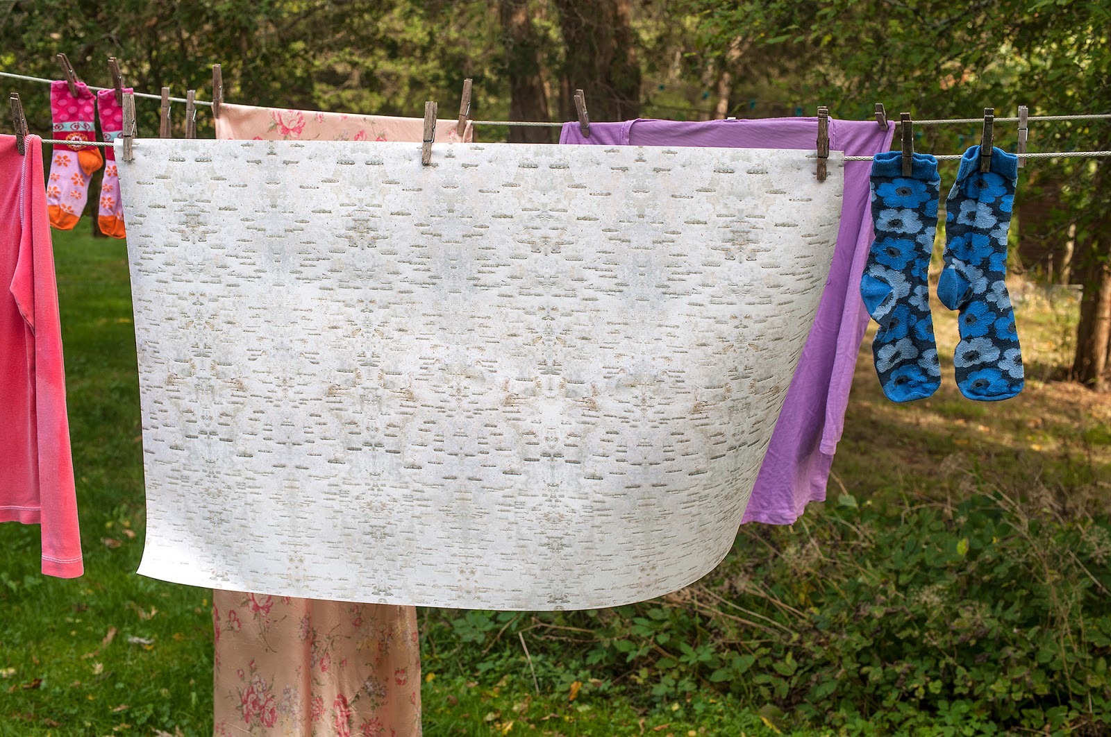 Zoë Design: Day 54 ~ Wallpaper-A-Day “Birch Bark”