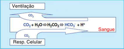 valores normales de ph bicarbonato y co2