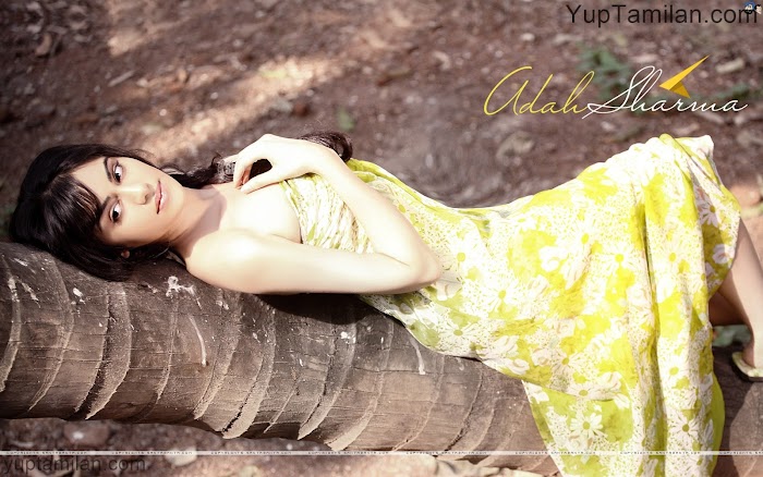 Adah Sharma 40 HD wallpapers-Sexiest Photo collection