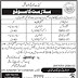 The Cadet College Pano Akil Dist. Shukkur Jobs