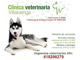 Clínica Veterinaria Villaluenga