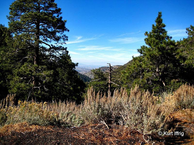 Originally there was a mining road that went all the way from Big Horn Mine to Valyermo in the desert below. Vincent Gap was a crossover point for an old wagon road where ore was hauled to Valyermo for processing.