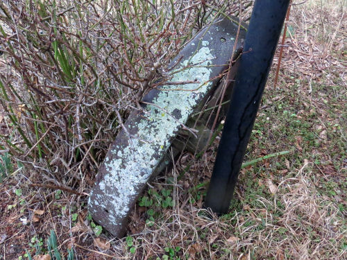 lichen on metal wheel