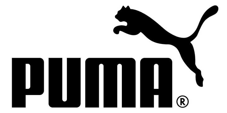 puma india franchise