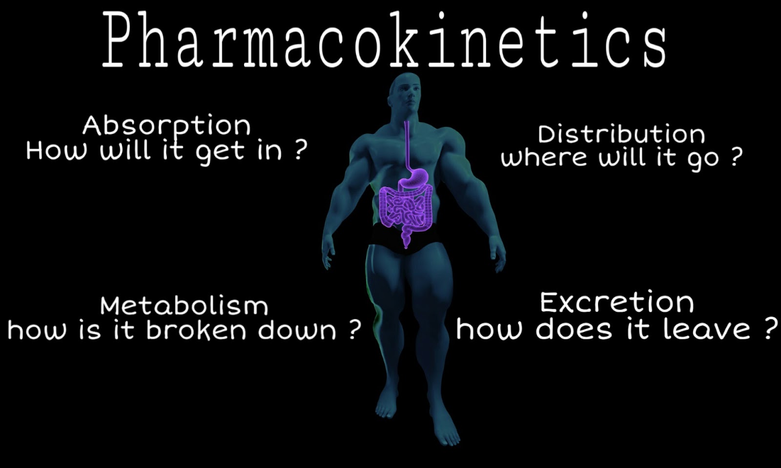 WHAT IS PHARMACOKINETICS visual data 8