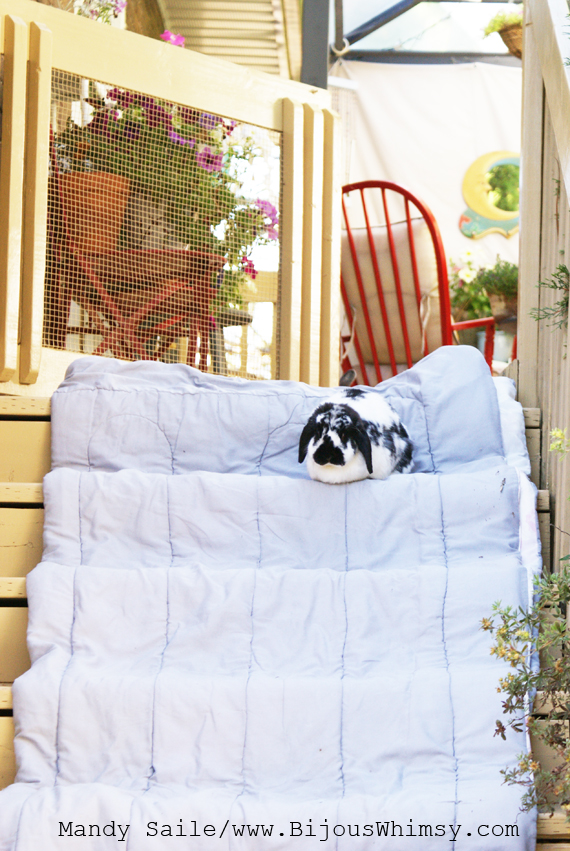 Mandy Saile Bunnies On Stairs