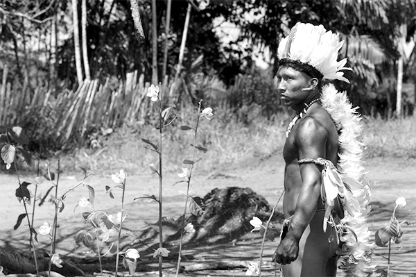 embrace of the serpent art embrace of the serpent director ciro guerra speaks about his violent psychedelic film austin society embrace of the serpent art embrace of the serpent director ciro guerra speaks about his violent psychedelic film austin society