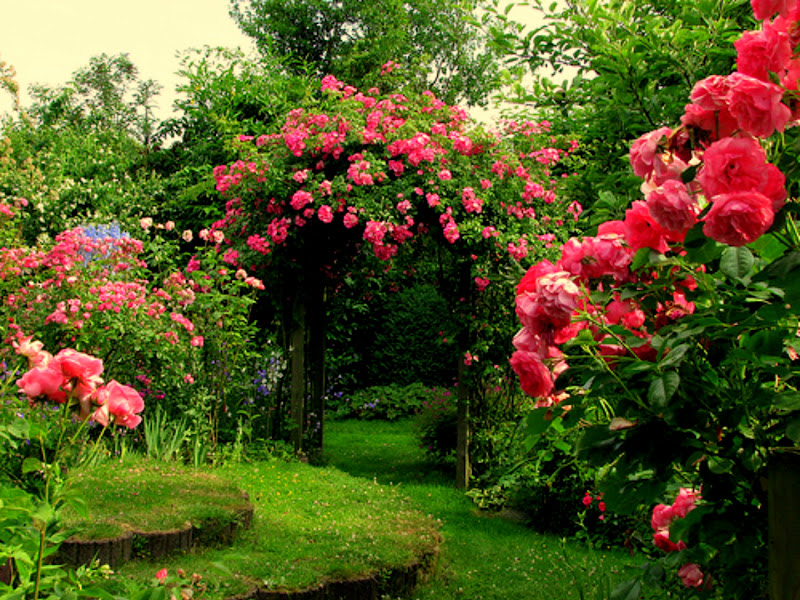 Thanks for visiting this Pictures of rose flower garden post. Please  title=