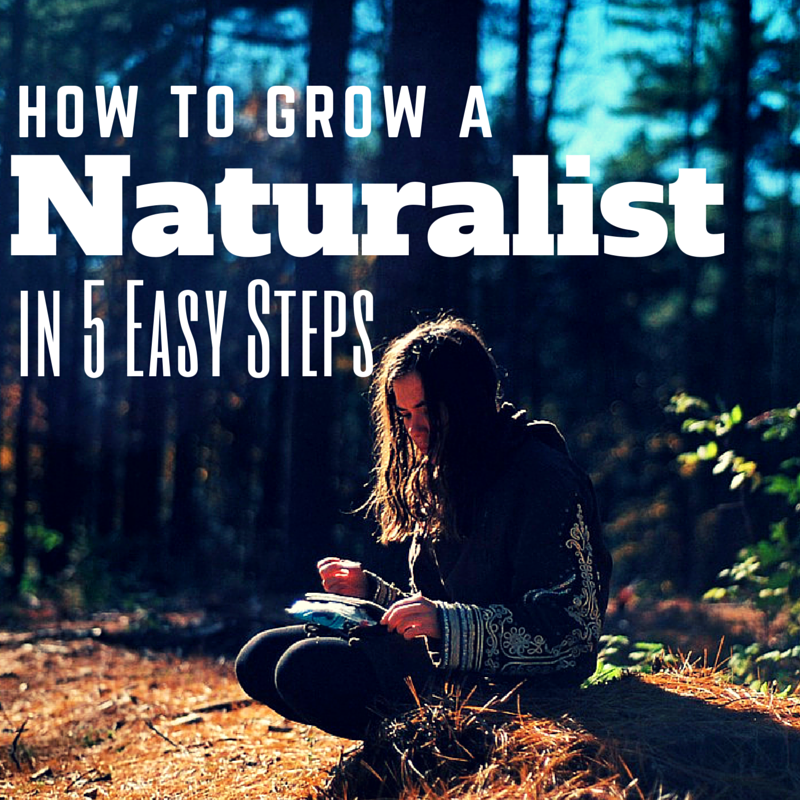 Do you have a child who loves exploring nature? Here are 5 tips for growing a naturalist.