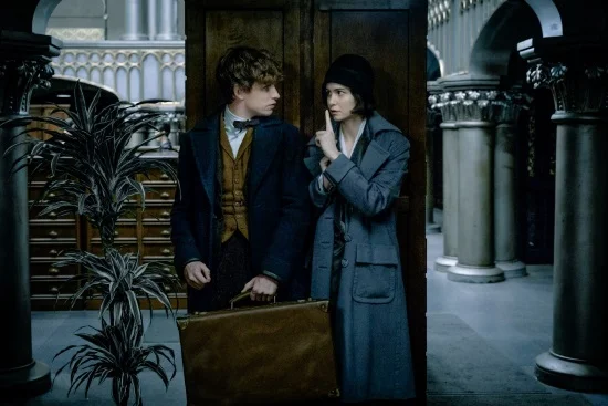 ANIMALES FANTÁSTICOS Y DONDE ENCONTRARLOS (FANTASTIC BEASTS AND WHERE TO FIND THEM)