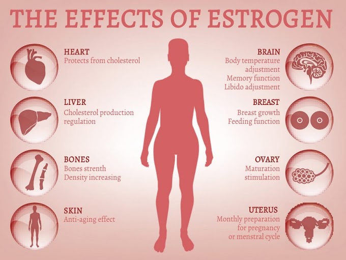 Bài tập Khí công tăng cường Estrogen dành cho phụ nữ ở tuổi tiền mãn kinh