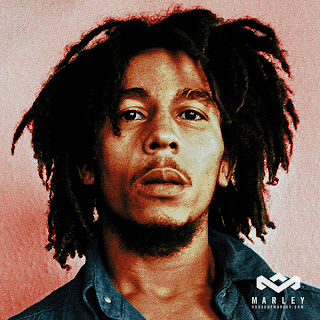 Bob Marley HairStyle (Men HairStyles) - Men Hair Styles Collection