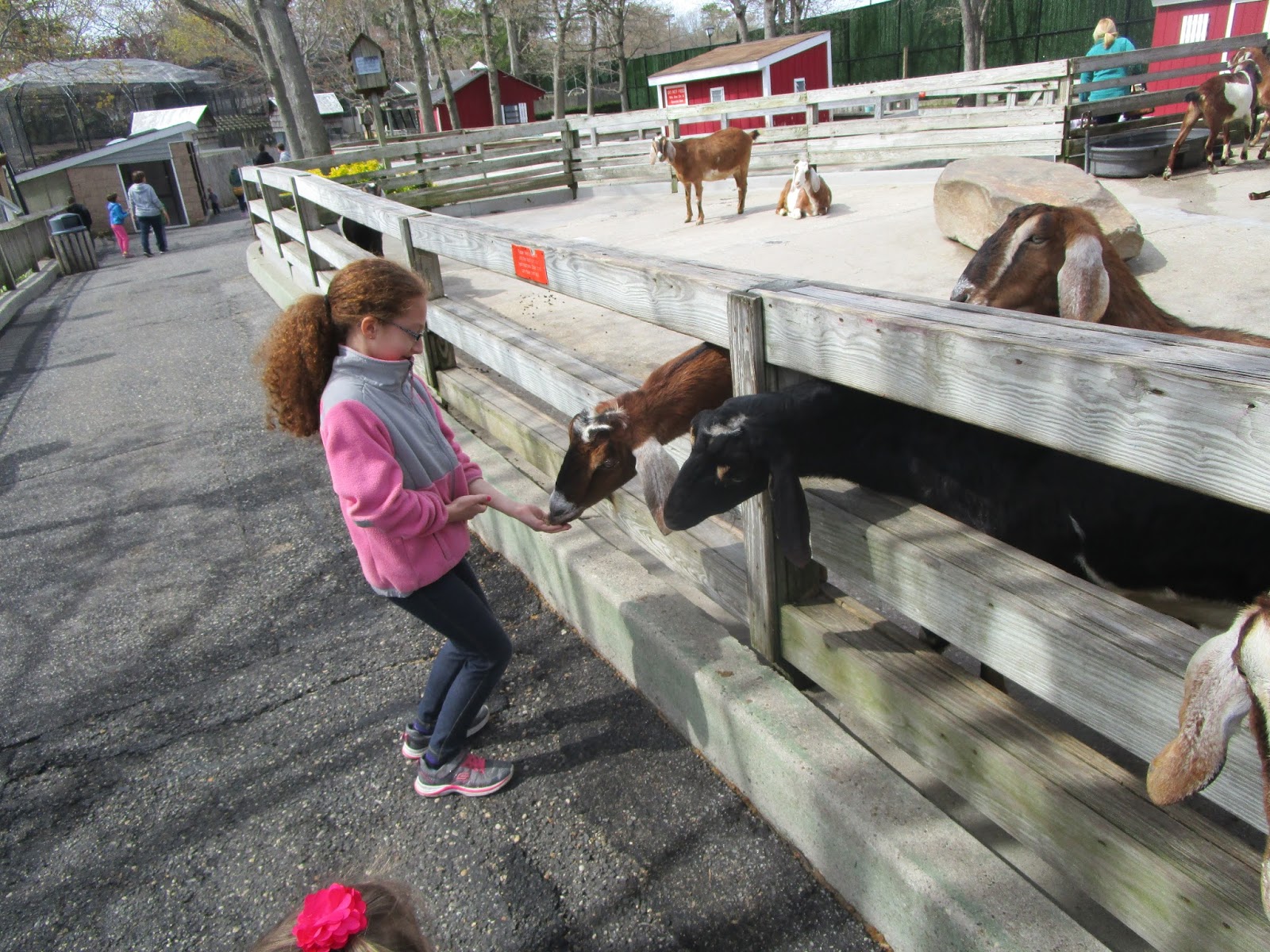 A Mommy's Adventures Family Field Trip Fun The Holtsville Ecology Center