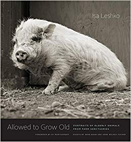 Allowed to Grow Old: Portraits of Elderly Animals from Farm Sanctuaries