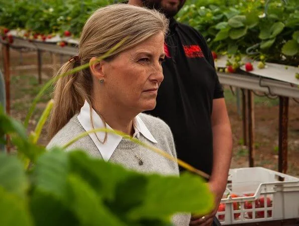 New For­est Fruit com­pa­ny produces strawberries and a new crop, blue honeysuckle berries. The countess wore a grey cashmere sweater